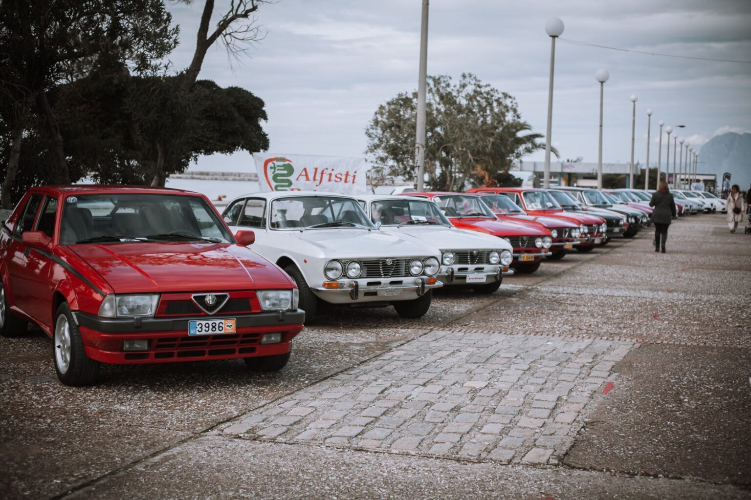 alfisti project